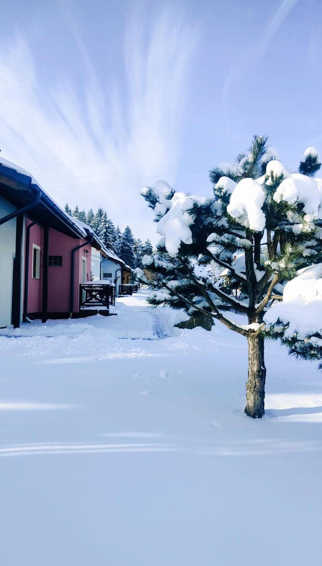 Apartamenty Golden Village Duszniki Zdrój Exterior foto